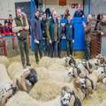 Sheep show and sale (1)